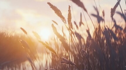 Sunset Serenity: Reeds and Lake in Super-Realistic Macro