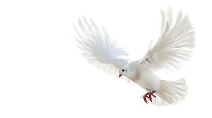 Obraz premium A white dove is a symbol of peace and love. It is often used to represent the Holy Spirit in Christianity.