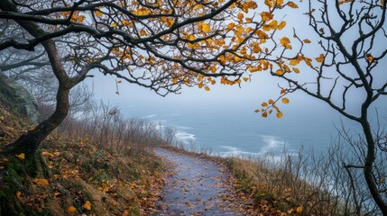 Bare branches along an Atlantic path, with golden leaves and misty November skies