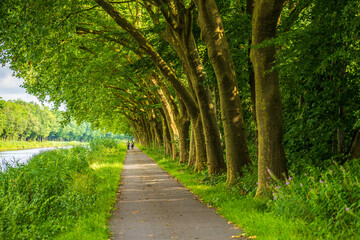 Radweg an der Ems bei Meppen