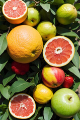 fruits on a white background