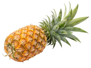 pineapple isolated on white