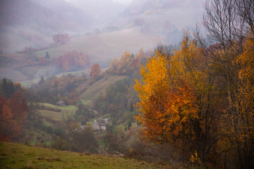 Autumn landscape with colorful trees