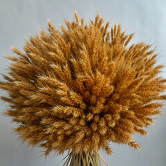 Obraz premium flower. plant, nature, flower, thistle, grass, autumn, dry, macro, thorn, meadow, summer, field, sky, season, blue, brown, flowers, close-up, dried, spring, garden, closeup