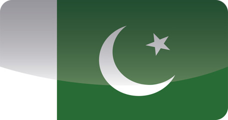 National flag of Pakistan.Vector illustration