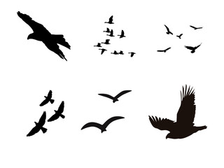羽ばたく鳥のシルエット６種

