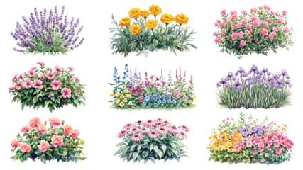 PNG flower garden  element set, transparent background