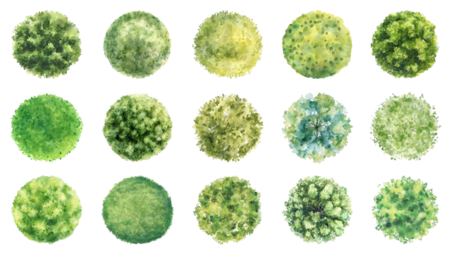 PNG tree top view element set, transparent background