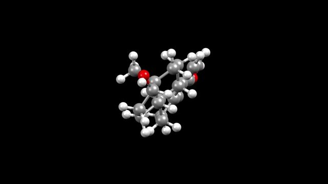 Structure of the main female hormone estradiol. Animated 3D ball-and-stick and space-filled models, black background.