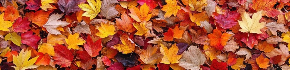 Obraz premium A colorful bunch of autumn leaves is carefully stacked on top of each other