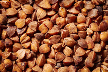 Macro shot of a pile of brown buckwheat grains. Texture. Background.