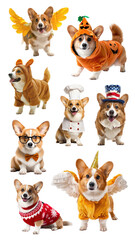 Naklejka premium Corgi in costume png element set, transparent background
