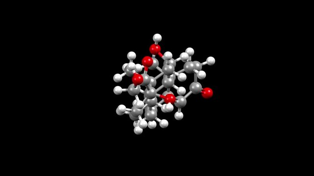 Structure of hormone cortisol. Animated 3D ball-and-stick and space-filled models, black background.