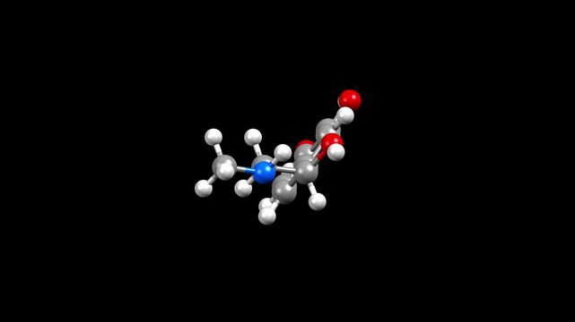 Structure of epinephrine. Animated 3D ball-and-stick and space-filled models, black background.