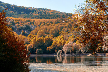 Obraz premium Autumn colors trees and lake landscape