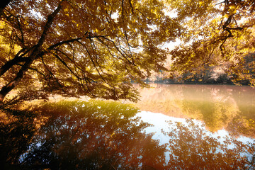 Obraz premium Autumn colors trees and lake landscape