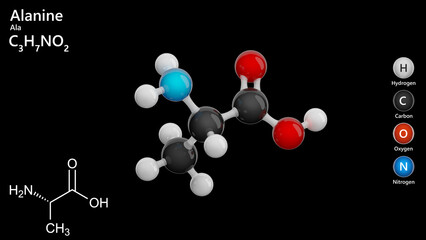 Molecule: Alanine or Ala. Non-essential amino acid. Molecular structure. Formula: C3H7NO2. Chemical model: Ball and stick. Black background. 3D illustration.