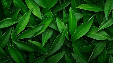 Obraz premium Lush Green Leaf Texture in Close-Up for Nature and Eco-Friendly Backgrounds