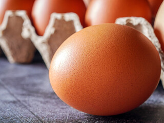 Close-up of organic Chicken eggs in tray or egg box.