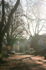 Foggy morning mist street with cars and sunbeams in North Rhine-Westphalia, Germany