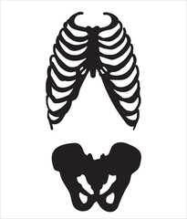 Human internal organs. Vector sketch isolated illustration.
