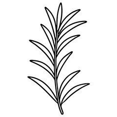 Line art of a Rosemary icon. Vector illustration 
