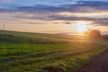 Dramatic Sunset Over Golden Field: Cinematic Landscape with Sun Rays and Vibrant Sky. Breathtaking Rural Scene Blending Summer Greenery and Autumn Hues in Atmospheric Evening Light.
