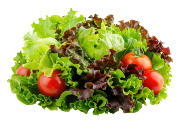 fresh green salad with red toamtoes isolated on white or transparent png