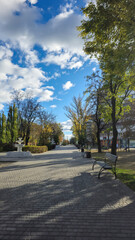 Bright blue autumn sky through yellow leaves of trees. Autumn weather.
