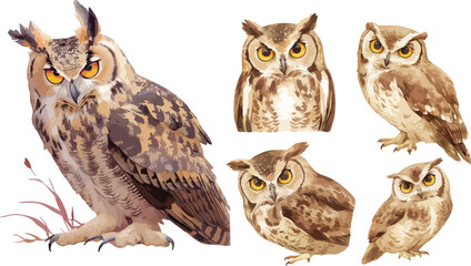 owl watercolor clipart