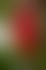 Abstract red and green blurred coloured background