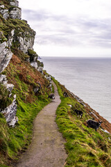 South West Coast path near Lynton Lynmouth