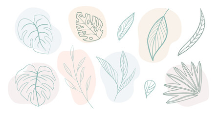 Abstract design elements set of contour exotic leaves on spots