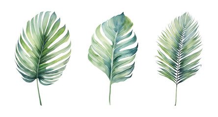 Obraz premium Tropical green leaves watercolor illustration
