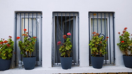 Windows White Exterior Front Colorful Flowers Bright Sunny Day