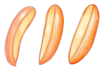 Three Different Illustrations of Single Object