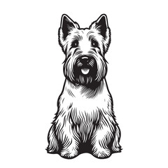 Scottish Terrier dog sitting pose looking front towards camera on white background clean png vector illustration