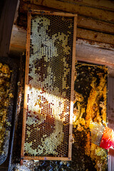 Light hitting Bee Honeycomb Wooden frame full of honey