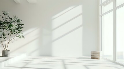 Minimalist White Room with Plant and Window