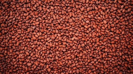 Obraz premium A close-up view of a textured surface filled with cacao beans, showcasing their natural shape and arrangement.