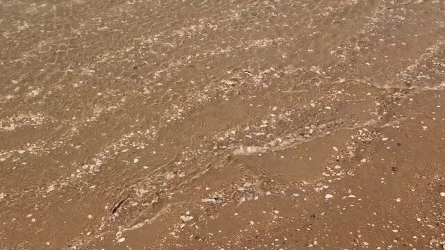 Flowing water in hollows, rivulet and sand holes on the beach. Shell and shell remains and small stones in the sand.