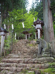 Japanese shrine in the forest. Atmospheric temple with statues in the woods.