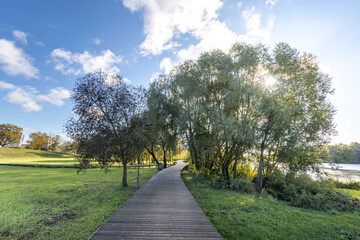 A path in a park with trees and a body of water