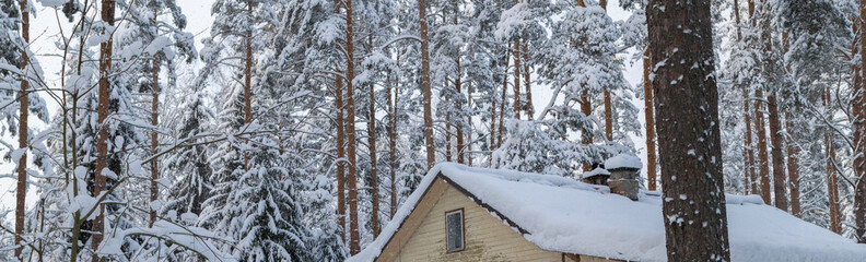 Scenic winter view of a snow-covered house surrounded by tall pine trees. Branches laden with fresh white snow. Cozy, serene winter day in a forested area, countryside life banner