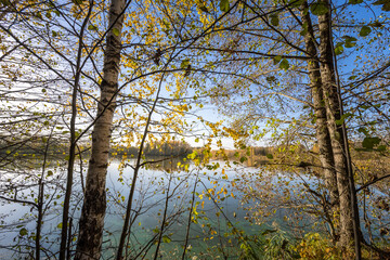 Obraz premium A beautiful view of a lake with trees in the background