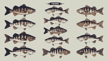 Vintage Fish Illustrations for Fishing and Nature Enthusiasts 