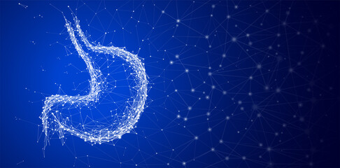 Illustration of a layout of lines and dots forming the shape of a human stomach on a dark blue background. Used in medicine, advertising, commerce, and industry.