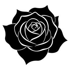 Rose silhouette illustration with isolated white