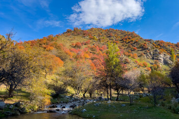 Autumn landscape with forested mountain and blue sky