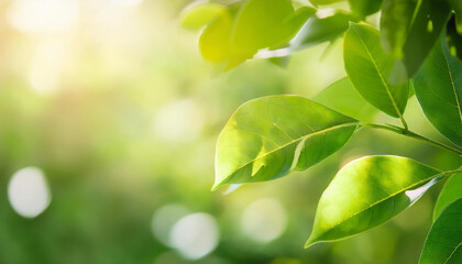 Obraz premium Close-Up of Wind Blowing Through Leaves
